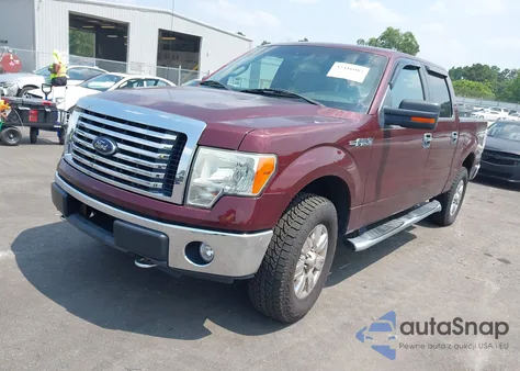 2010 Ford F-150 Fx4/Harley-Davidson/King Ranch/Lariat/Platinum/Xl/Xlt from USA, damaged, VIN 1FTFW1EV4AFC77395